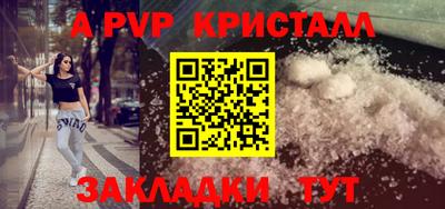 стаф Каменск-Шахтинский