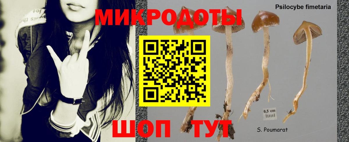 Галлюциногенные грибы ЛСД  Вход с VPN  Камышин 