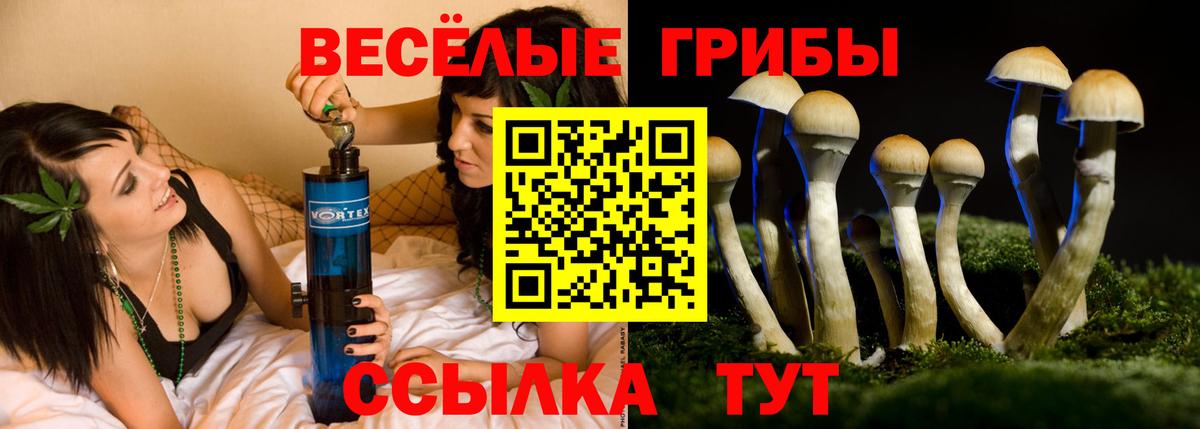 Галлюциногенные грибы ЛСД Камышин